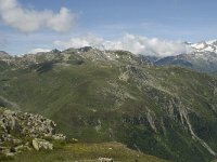 CH, Wallis, Obergoms, Nufenenpass, Distelgrat 1, Saxifraga-Willem van Kruijsbergen